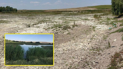 Bir zamanlar içinde yüzülen Pınarbaşı akarsuyu tamamen kurudu, birçok canlı öldü
