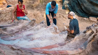 Portekiz’de bir bahçede bulunan dinozor fosili Avrupa'nın en büyüğü olabilir