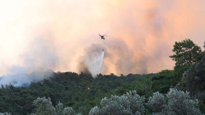 Muğla'daki orman yangını kontrol altına alındı