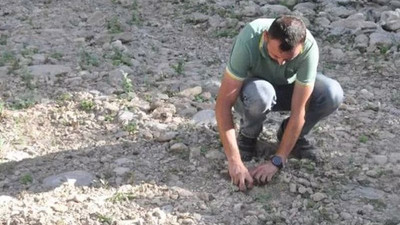 Karadeniz'de içme suyu kaynakları kurudu, tarım arazileri de olumsuz etkilendi