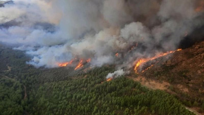 Marmaris yangını kontrol altına alındı: 85 yaşındaki arıcı gözaltına alındı