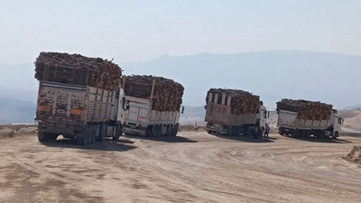 Şırnak’taki ağaç kıyımına dair bakanlıktan açıklama: ‘Gençleştirme’ çalışmaları yapıldı