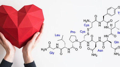 'Aşk Hormonu' kalp hastalıklarının tedavisinde kullanılabilecek