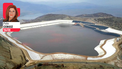 Fırat Nehri’ni zehirleyen siyanür sızıntısı Uluslararası Ceza Mahkemesi’nde