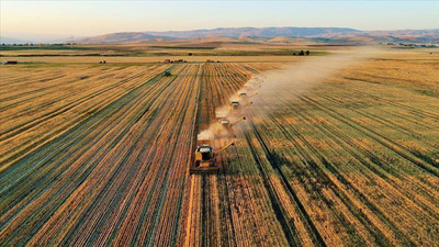 Turunçgillerin üretici fiyatı yüzde 380, sebze yüzde 230, tahıl yüzde 152 zamlandı