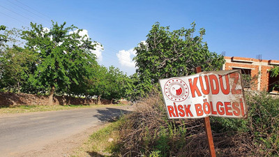 Kars'ta bir köy kuduz karantinasına alındı