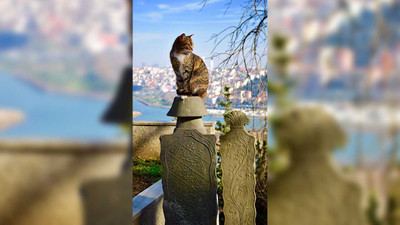 İstanbul'da mezar yeri fiyatlarına da zam: 45 bin liraya yükseldi