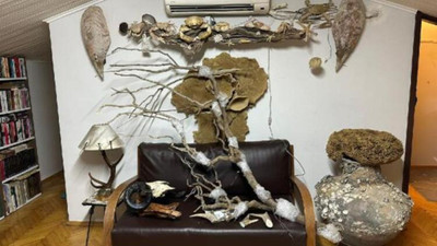 Kadıköy'de yüzlerce hayvan boynuzu ele geçirildi: Geyik, antilop, bizon...