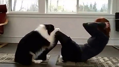 Yoga yapan köpek