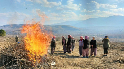 Köylülerden Vali'ye 'sökülmüş ağaç' tepkisi: 'Bu kiraz ağacının günahı sana sorulsun'