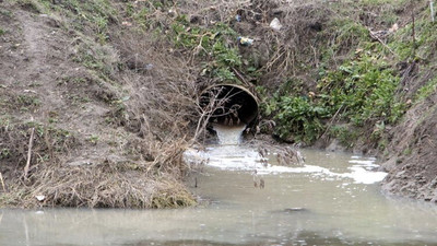 Edirne'nin kanalizasyon suları, Tunca Nehri'ne akıyor: 'Yaşamsal riskler ortaya çıkıyor’