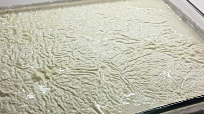 Klasik yoğurt mayalama yönteminden farklı.. Taş gibi yoğurdun pratik tekniği