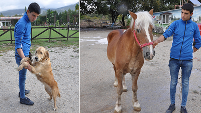 Atı ve köpeği de ihaleyle sattılar