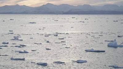 Norveç: Deniz yatağında 'büyük miktarda' mineral kaynakları bulduk