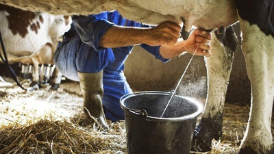 Ulusal Süt Konseyi'nden üreticiyi üzen karar: Çiğ süt fiyatı güncellenmedi