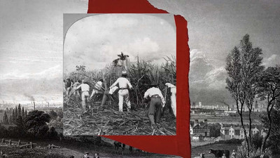 The Guardian gazetesi 'kölecilik geçmişi' nedeniyle özür diledi