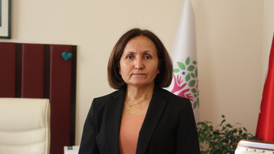 HDP'li Pero Dündar'dan Dara Antik Kenti soruları