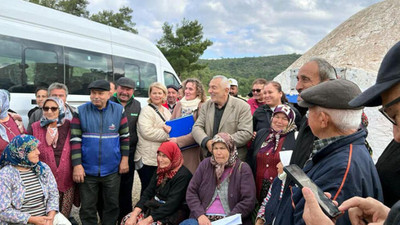 Bodrum'da taş ocağının bilirkişi raporu: Toz, orman ve zeytin ağaçlarını olumsuz etkileyebilir