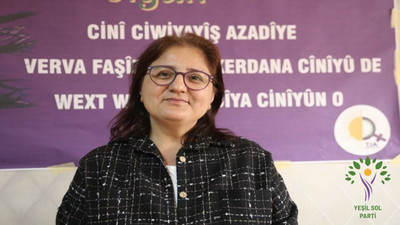 Yeşil Sol Parti’nin Dersim adayı: Zihniyet devrimi yürüten bir hareketiz