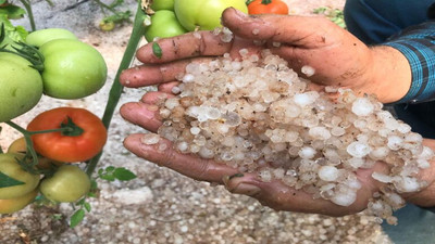 Mersin'de şiddetli dolu yağışı: Seralardaki ürünler zarar gördü