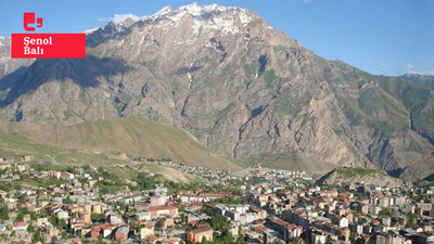 Hakkari'de deprem endişesi: Tek karayolu kapanabilir, havaalanı çökebilir