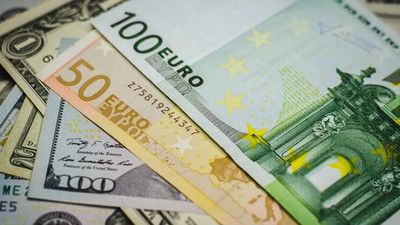 Döviz kurları rekor seviyede: Euro 30 lirayı geçti