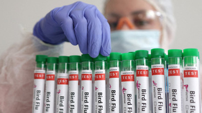 Dünya Hayvan Sağlığı Örgütü: Dünyada kuş gribi pandemisi riski var