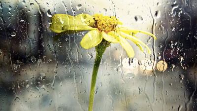 30 Mayıs hava durumu: Meteoroloji’den Türkiye geneli için sağanak yağış uyarısı