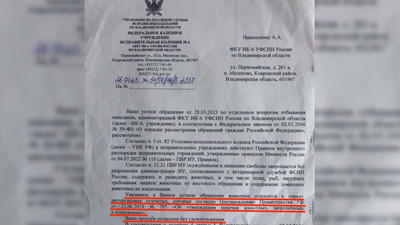 Rus muhalif Navalny'den hapishane yönetimine mektuplar: Bir kanguru alabilir miyim?