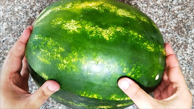 Olgunlaşmış karpuz seçme tekniği : Öğrendiğinizde çok teşekkür edeceksiniz