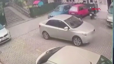 Kartal'da otomobilin ezdiği köpek öldü