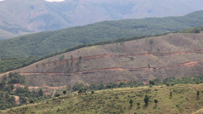 Şenyayla’daki ağaç kesimi Meclis gündeminde: Yakma, kesme, yok etmeye kim izin veriyor?