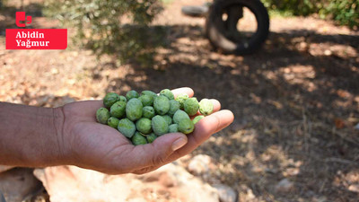 Mersin-Erdemli'de susuz yaz: İçme suyu yok, bahçelerde sulama sorunu yaşanıyor