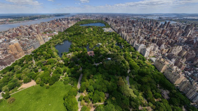 'Erdoğan AKM değil Central Park istiyor'