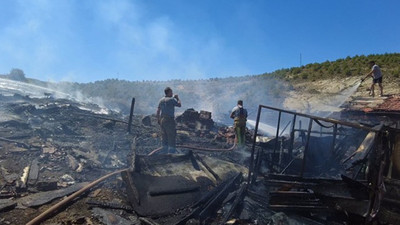 Foça'da 40 hayvan çiftlik yangınında öldü