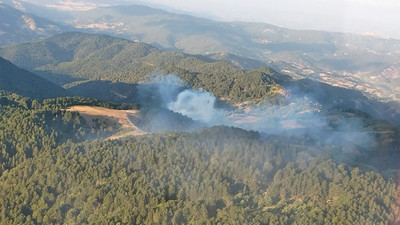 Balıkesir İvrindi'de çıkan orman yangını kontrol altına alındı