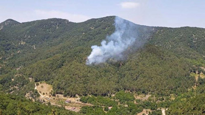 İskenderun'daki orman yangını kontrol altına alındı