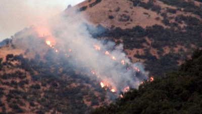 Dersim’de operasyon sonrası orman yangını