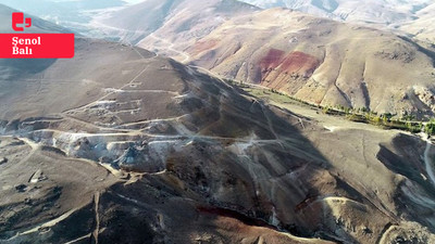 Diyadin'de maden sahası ihalesi: Tarım ve hayvancılık tehlike altında