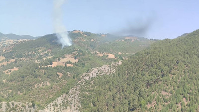 Adana'da orman yangını