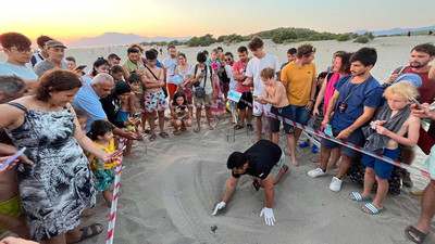 Patara'da deniz kaplumbağası yuva sayısında rekor