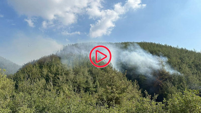 Osmaniye'de orman yangını: 20 dekar alan zarar gördü