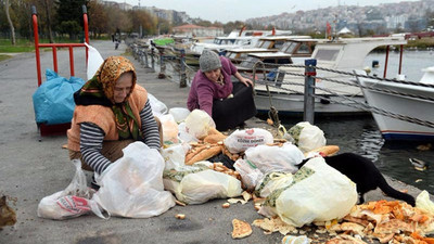 Sokak Hayvanlarını Besleyen Behice Teyze ve Kızı