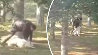 Parkta köpeğe sopalı-yumruklu eziyet ve şiddete takipsizlik kararı