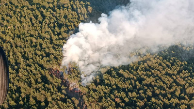 Hatay'da orman yangını