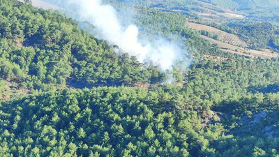 Çanakkale'de orman yangını kontrol altına alındı