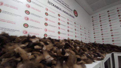 İstanbul Havalimanı'nda 10 bin 300 tilki kuyruğu ele geçirildi