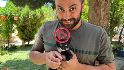 Reuters kameramanı İssam Abdullah İsrail saldırısı sonucu öldü, altı gazeteci de yaralandı