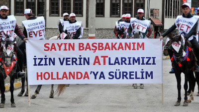 'İzin ver atlarımızı Hollanda'ya sürelim'