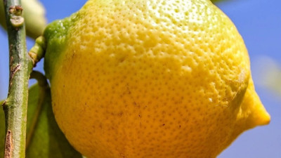 Limonun suyu daha fazla nasıl çıkar? Aşçıların hep uyguladığı yöntem